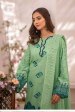 Jhool Exclusive Luxury Organza 3 Piece Suit