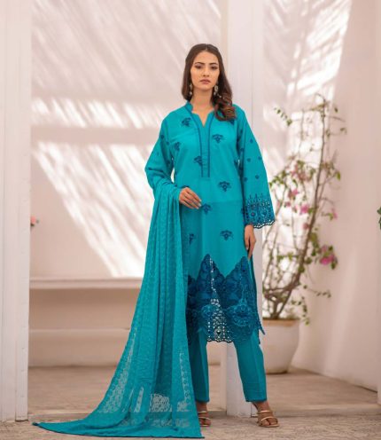 Jhool Exclusive Luxury Organza 3 Piece Suit