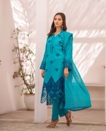 Jhool Exclusive Luxury Organza 3 Piece Suit