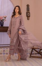 Raghib Exclusive Luxury Organza 3 Piece Suit