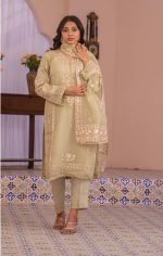 Raghib Exclusive Luxury Organza 3 Piece Suit