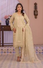 Raghib Exclusive Luxury Organza 3 Piece Suit